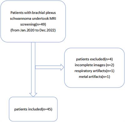 The guiding value of the cinematic volume rendering technique in the preoperative diagnosis of brachial plexus schwannoma